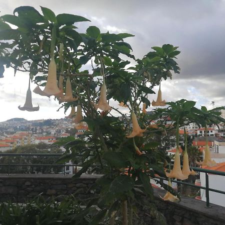 Casa Vanday Funchal  Buitenkant foto
