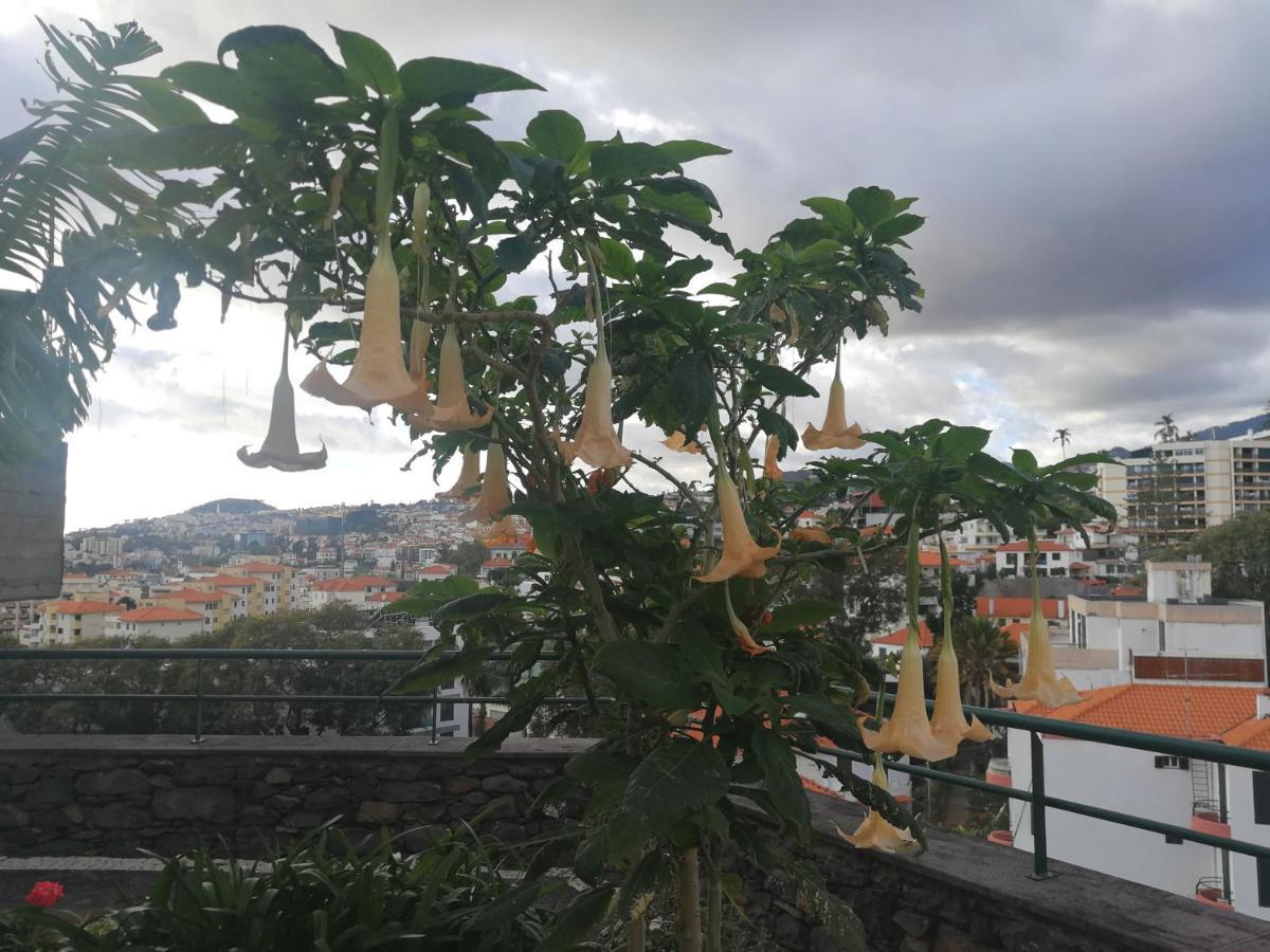 Casa Vanday Funchal  Buitenkant foto